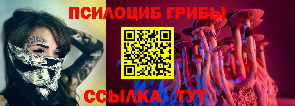 Десногорск  Псилоцибиновые грибы MAGIC MUSHROOMS  Вход с VPN 